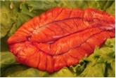 Shad Roe Large