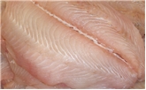 Flounder Fillet