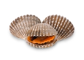 Cockles