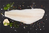 Halibut Fillet