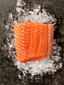 Salmon King Wild  Troll