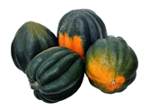 Acorn Squash
