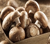 Baby Bella Mushrooms (10 oz.)