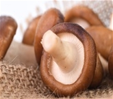 Fresh Shiitake Mushrooms