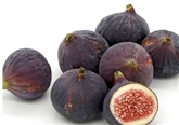FIGS CALIFORNIA 8oz