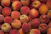 Peaches
