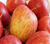 Organic Red Delicious Apples Box of 24 Each