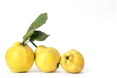 Quince Apples