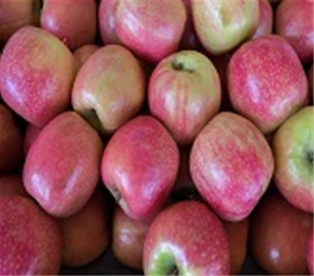 Pink Lady Apples