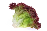LOCAL Organic Red Leaf Lettuce