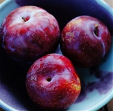 Plumcots