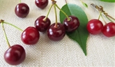Sour Cherries