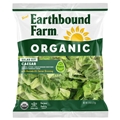 Earthbound Organic Salad Kit Caesar Avocado Oil 7.8OZ