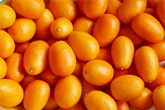 Kumquats