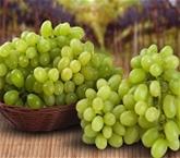 Baby Thompson Seedless Grapes (16oz)