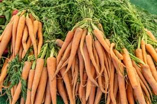 carrots organic california