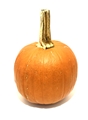 Pumpkin (Medium)