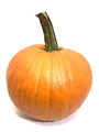 Large Pumpkins