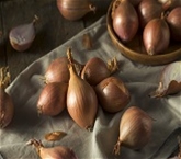 Shallots