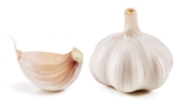 Fresh Garlic Bulbs