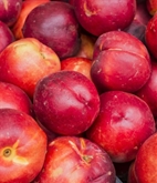 Nectarines Local
