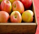 Braeburn Apples