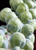Stalks Brussel Sprouts