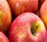 Fuji Apples