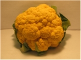 Orange Cauliflower