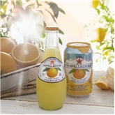 San Pellegrino Aranciata (11oz.)