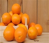 Heirloom Navel Oranges