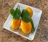 Meyer Lemons with Stem Leaves