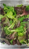 Spring Mix