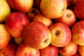 Apples Evercrisp