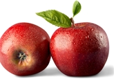 Apples Rubyfrost
