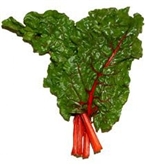 Red Swiss Chard