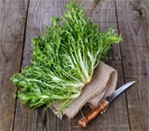 A&V Endive Frisee (5oz)