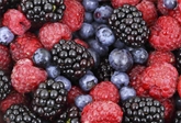 Mixed Berries (18oz.)