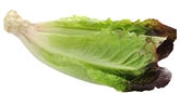 Red and Green Baby Romaine (5oz)