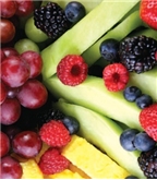 Fruit Salad Fresh 14 Oz