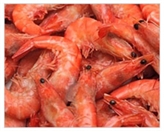Shrimp Platter (6oz.)