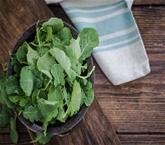 Kale Baby Org. A&V