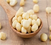 Macadamia Nuts Raw 7Oz