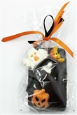 Halloween Coffin