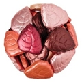 Dark Chocolate Autumn Leaves