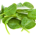 Baby Spinach (10oz)