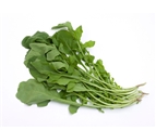 Baby Arugula (10oz)