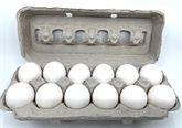 A&V Large Local Cage Free White Eggs (dozen)