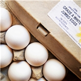 A&V Cage Free Jumbo White Eggs