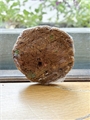 Gluten Free Large Monster Cookie